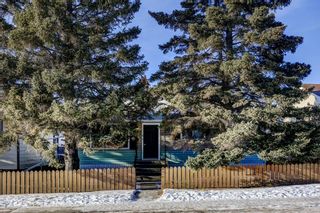 Photo 17: 2115 Mackay Road NW in Calgary: Montgomery Detached for sale : MLS®# A2017111