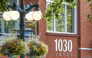 Photo 11: 201 1030 Yates St in Victoria: Vi Downtown Condo for sale : MLS®# 926859