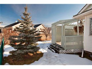 Photo 27: 226 CHAPARRAL Villa(s) SE in Calgary: Chaparral House for sale : MLS®# C4049404