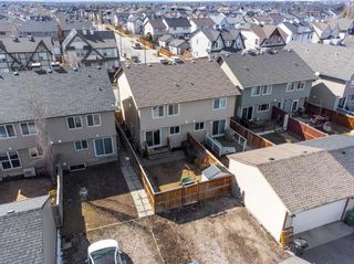 Photo 38: 253 Elgin Meadows Park SE in Calgary: McKenzie Towne Semi Detached (Half Duplex) for sale : MLS®# A2121804