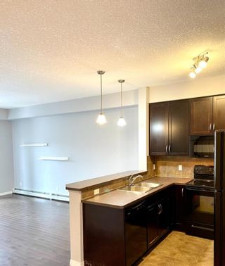 Photo 7: 2414 115 Prestwick Villas SE in Calgary: McKenzie Towne Apartment for sale : MLS®# A1172054
