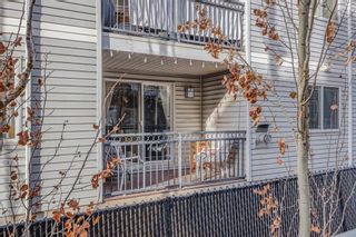 Photo 24: 104 2440 34 Avenue SW in Calgary: South Calgary Apartment for sale : MLS®# A2024503