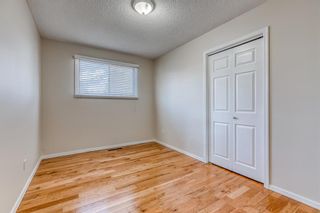 Photo 13: 1008 32 Street SE in Calgary: Albert Park/Radisson Heights Detached for sale : MLS®# A1090391