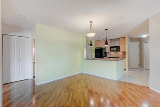 Photo 25: 306 25 Richard Place SW in Calgary: Lincoln Park Apartment for sale : MLS®# A1240782