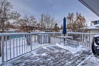 Photo 28: 703 36 Street NW in Calgary: Parkdale Detached for sale : MLS®# A2101688