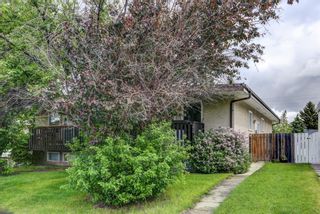 Photo 25: 7810 Hunterquay Road NW in Calgary: Huntington Hills Semi Detached (Half Duplex) for sale : MLS®# A1231657