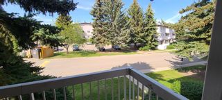 Photo 8: 5 3800 Fonda Way SE in Calgary: Forest Heights Row/Townhouse for sale : MLS®# A1253720
