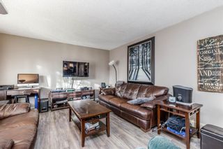 Photo 9: 260 Van Horne Crescent NE in Calgary: Vista Heights Detached for sale : MLS®# A1144476