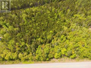 Photo 5: Lot 21-4 Highway 3 in East River: Vacant Land for sale : MLS®# 202311829