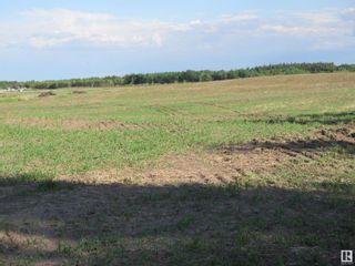Photo 20: Twp Rd 612 RR 223: Rural Thorhild County Vacant Lot/Land for sale : MLS®# E4318876