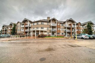 Main Photo: 120 92 Saddletree Court NE in Calgary: Saddle Ridge Apartment for sale : MLS®# A2121067