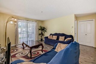 Photo 11: 2108 6224 17 Avenue SE in Calgary: Red Carpet Apartment for sale : MLS®# A2134135