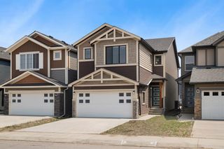 Photo 1: 116 HOMESTEAD Grove NE in Calgary: C-686 Detached for sale : MLS®# A2050717