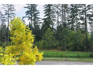 Photo 9: 3376 PLATEAU BV in Coquitlam: Westwood Plateau House for sale in "WESTWOOD PLATEAU" : MLS®# V917330