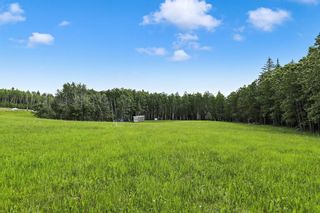Photo 7: 0 Parkins Road: Millarville Residential Land for sale : MLS®# A1257087