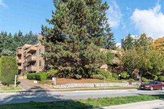 Photo 16: 103 7151 EDMONDS STREET in Burnaby: Highgate Condo for sale (Burnaby South)  : MLS®# R2511306