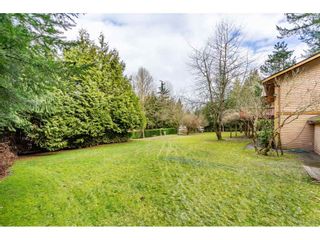 Photo 30: 6057 243 Street in Langley: Salmon River House for sale in "Salmon River" : MLS®# R2538045