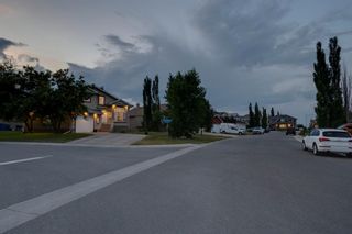 Photo 49: 53 Lakeside Greens Close: Chestermere Detached for sale : MLS®# A2011824