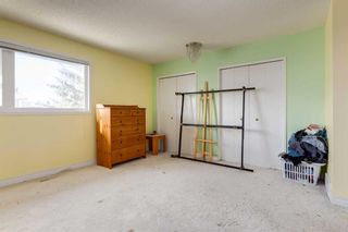 Photo 16: 1459 Berkley Drive NW in Calgary: Beddington Heights Detached for sale : MLS®# A2103559