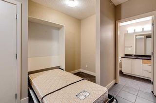 Photo 15: 402 315 24 Avenue SW in Calgary: Mission Apartment for sale : MLS®# A2078813