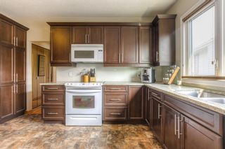 Photo 17: 2311 Maunsell Drive NE in Calgary: Mayland Heights Detached for sale : MLS®# A2053042