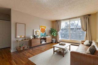 Photo 12: 305 934 2 Avenue NW in Calgary: Sunnyside Apartment for sale : MLS®# A1210615
