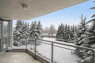 Photo 33: 314 1108 6 Avenue SW in Calgary: Downtown West End Apartment for sale : MLS®# A2119554