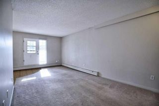 Photo 6: 1109 3115 51 Street SW in Calgary: Glenbrook Apartment for sale : MLS®# A2129011