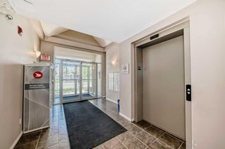 Photo 4: 110 1000 Applevillage Court SE in Calgary: Applewood Park Apartment for sale : MLS®# A2132170