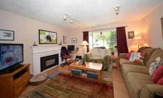Photo 11: 20830 117 AVENUE in Maple Ridge: Southwest Maple Ridge House for sale : MLS®# R2001082