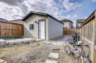 Photo 46: 39 Panora Square NW in Calgary: Panorama Hills Semi Detached for sale : MLS®# A1244306