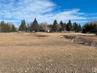 Photo 4: 5433 52 Street: Thorsby Vacant Lot/Land for sale : MLS®# E4285335