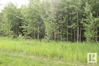 Photo 6: 50208 RR 204: Rural Beaver County Rural Land/Vacant Lot for sale : MLS®# E4305162