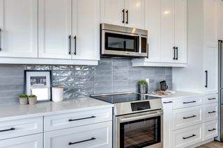 Photo 10: 1209 80 Greenbriar Place NW in Calgary: Greenwood/Greenbriar Apartment for sale : MLS®# A2052988