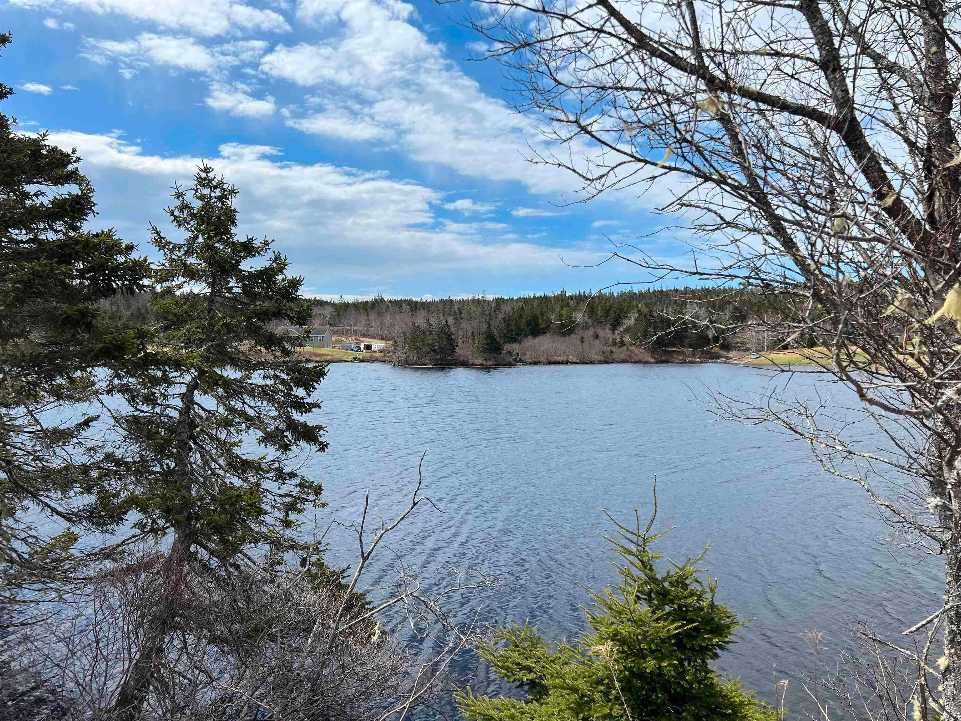 Main Photo: 348 New Harbour West Road in Guysborough County: 303-Guysborough County Vacant Land for sale (Highland Region)  : MLS®# 202310110