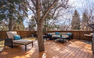 Photo 47: 644 Wilderness Drive SE in Calgary: Willow Park Detached for sale : MLS®# A2040668