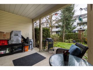 Photo 29: 43 6467 197 STREET in Langley: House for sale : MLS®# R2863412