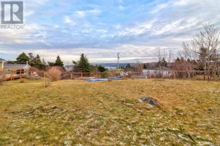 Photo 24: 6 Baldhead Road in Pouch Cove: House for sale : MLS®# 1254822