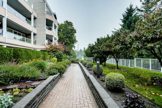 Photo 21: 308 11605 227 Street in Maple Ridge: East Central Condo for sale : MLS®# R2406154