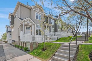 Main Photo: 249 Elgin Gardens SE in Calgary: McKenzie Towne Row/Townhouse for sale : MLS®# A2132043