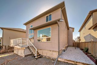 Photo 41: 202 TOPAZ Gate: Chestermere Detached for sale : MLS®# A2110670