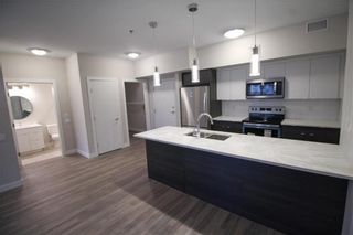 Photo 4: 302 70 Philip Lee Drive in Winnipeg: Crocus Meadows Condominium for sale (3K)  : MLS®# 202018779