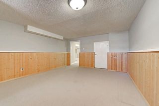 Photo 26: 6611 LAKEVIEW Drive SW in Calgary: Lakeview House for sale : MLS®# C4183070