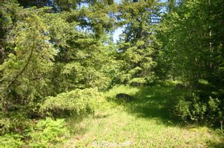 Photo 30: 4827 Goodwin Road in Eagle Bay: Vacant Land for sale : MLS®# 10116745