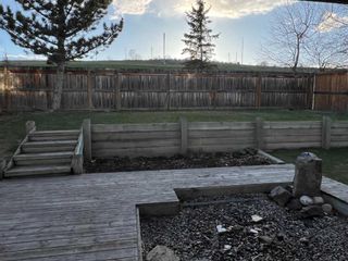 Photo 39: 5047 Norris Road NW in Calgary: North Haven Detached for sale : MLS®# A2128155