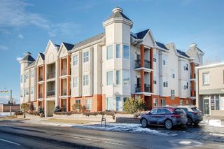 Photo 33: 207 2134 Kensington Road NW in Calgary: West Hillhurst Apartment for sale : MLS®# A2040758