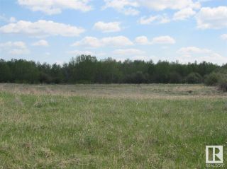 Photo 10: RR 204 HWY 661: Rural Thorhild County Vacant Lot/Land for sale : MLS®# E4369773