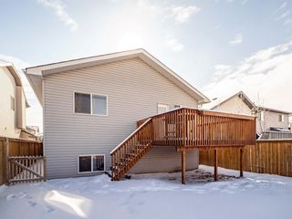 Photo 11: 316 Stonegate Way NW: Airdrie Detached for sale : MLS®# A1193128