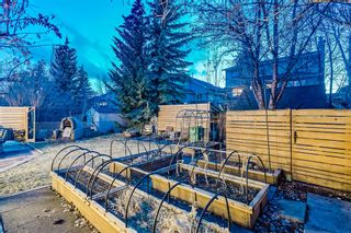 Photo 47: 73 Mt Robson Close SE in Calgary: McKenzie Lake Detached for sale : MLS®# A2036283