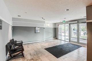 Photo 3: 217 4150 Seton Drive SE in Calgary: Seton Apartment for sale : MLS®# A2081375